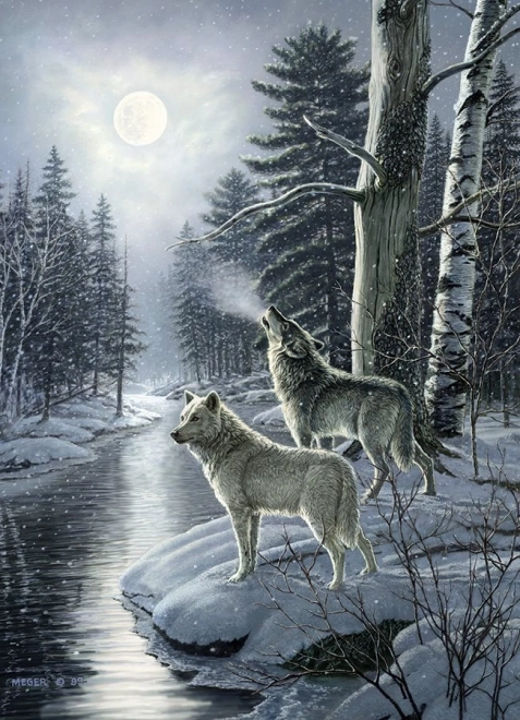 Puzzle Vlky o polnoci 1000 dielikov
