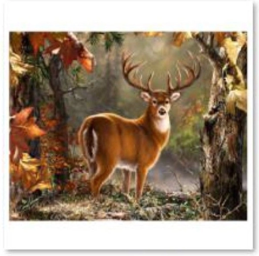 Diamantové maľovanie (diamond painting) – dôstojný jeleň 40 × 30 cm