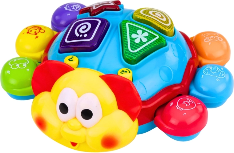 Svetlá, melódie a učenie farieb aj zvierat