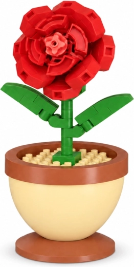 Detailná červená ruža