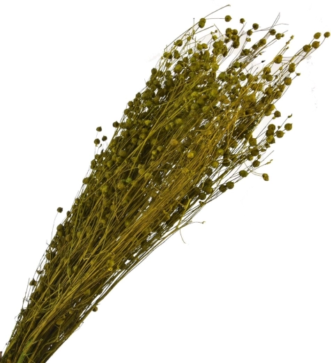 Sušená dekoratívna tráva zelená 40–70 cm