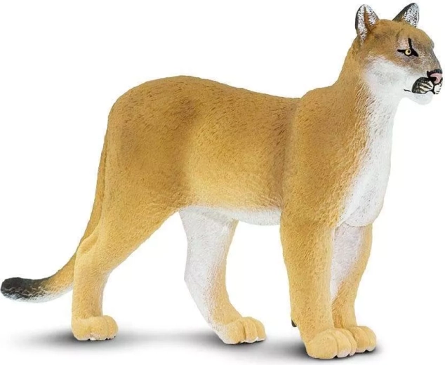 Figúrka floridská puma Safari Ltd. - 1 kus