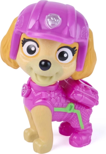 Skye na záchranné misie