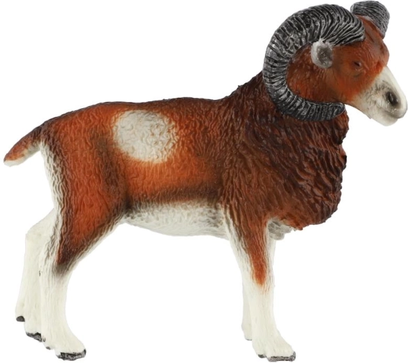 Typické mohutné rohy