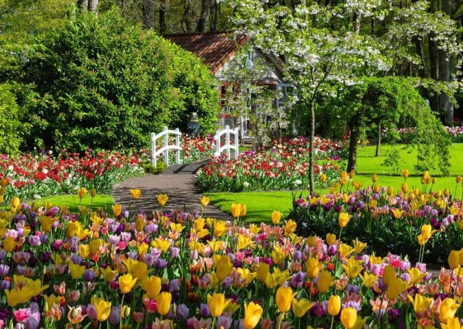 Puzzle 1000 dielikov RAVENSBURGER – Krásne záhrady Keukenhof, Holandsko