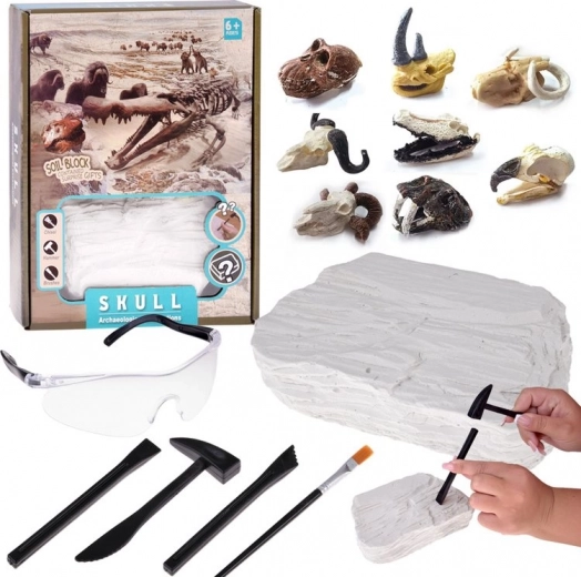 Archeologická sada s fosílnou lebkou pre deti Jokomisiada