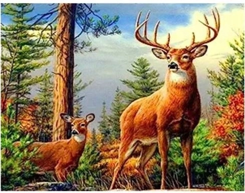 Norimpex diamantové maľovanie Jeleň v horách 30 × 40 cm