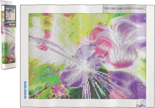 Diamantové maľovanie – magická huslistka 30 × 40 cm