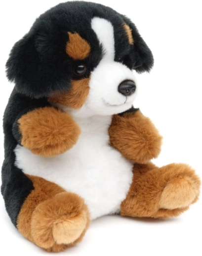 Bezpečné od narodenia