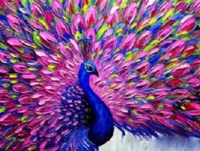 Norimpex Maľovanie podľa čísel – páv s ružovým chvostom 40 × 50 cm