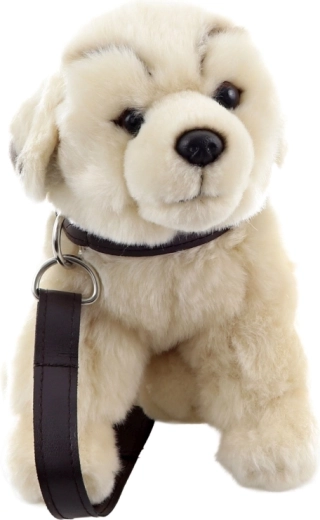 Hra na venčenie vďaka obojku a vodítku