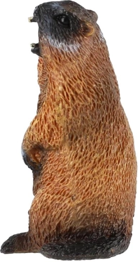 Kompaktná veľkosť