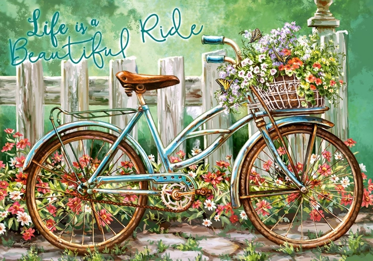 Puzzle 500 dielikov Beautiful Ride