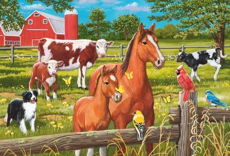 Jasné farby a detailné ilustrácie