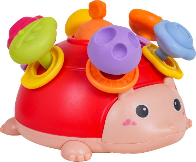 Hrkajúce krúžky a zábavné vkladanie