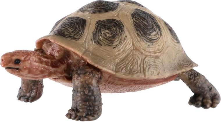Realistický vzhľad korytnačky