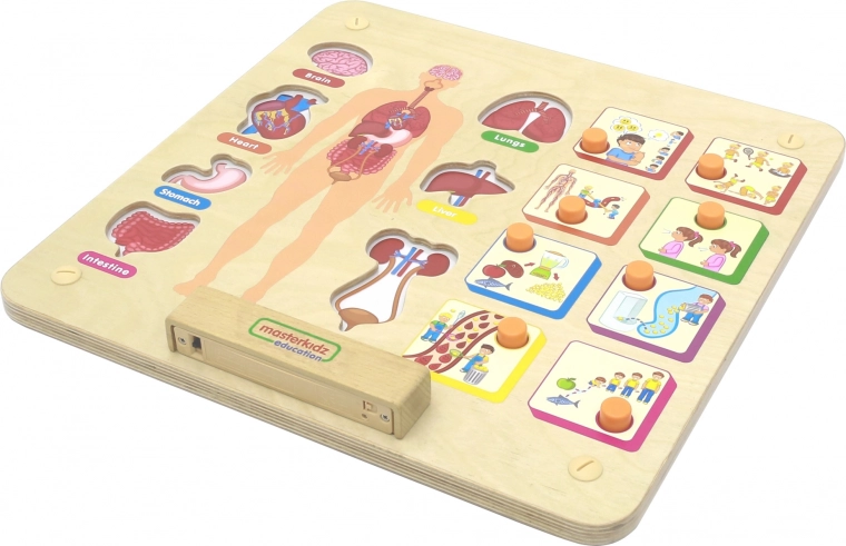 Výchovná tabuľa ľudského tela Masterkidz Montessori