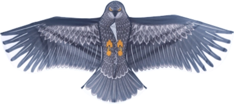 Realistický dizajn orla