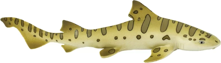 Safari Ltd. Žralok leopardí – 1 kus