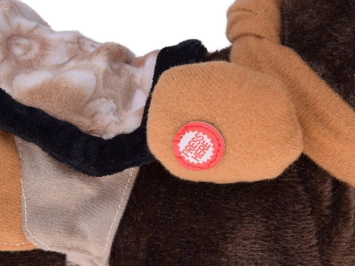 Chodí, erží a tancuje na country