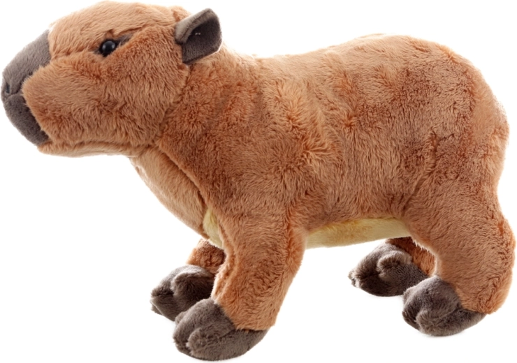 Bezpečné už od narodenia