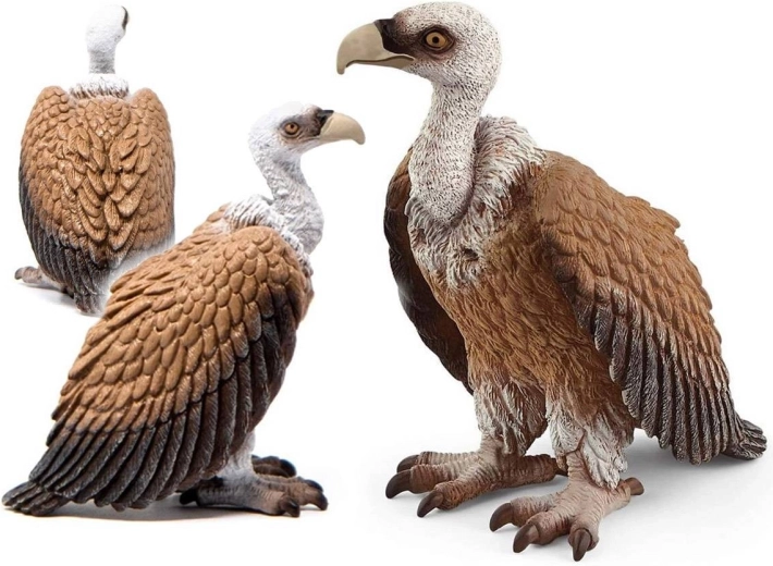 Schleich sup bielohlavý – figúrka Wild Life