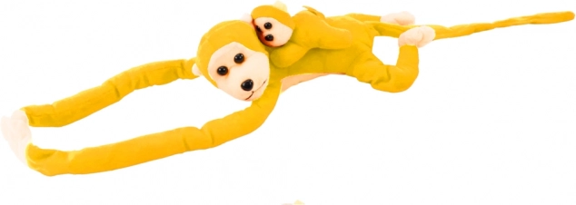Opička s mláďaťom