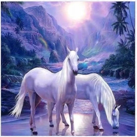 Maľovanie podľa čísel Dva biele kone 40 × 50 cm