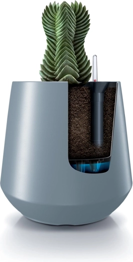 Bezstarostná starostlivosť o rastliny