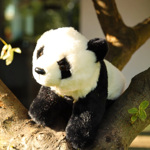 Roztomilá panda na maznanie