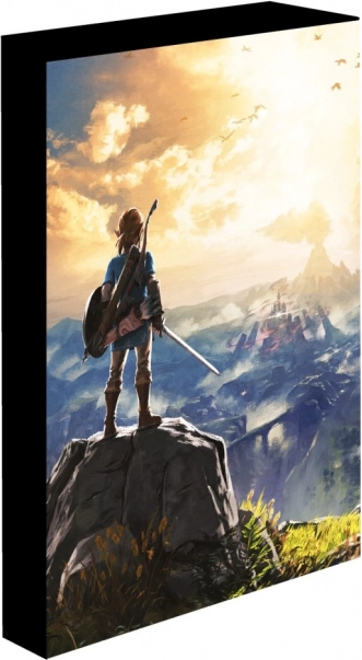 Svietiaca LED obraz 30x40 cm Zelda