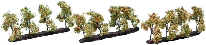 Noch jabloň s plodmi 3,5 cm (12 ks)