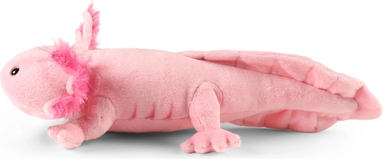 Veľkosť 34 cm pre malé aj veľké maznáčiky