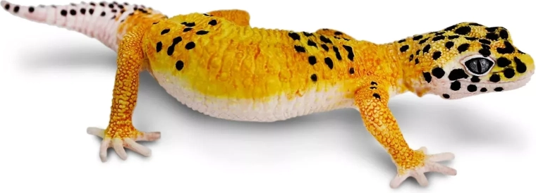 Safari Ltd. figúrka gekončíka nočného