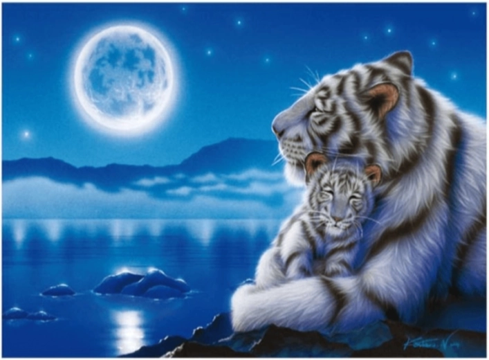 Diamantové maľovanie – biele tigre v mesačnom svite 40 × 30 cm