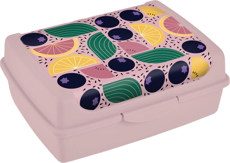 Desiatový box s klipovým uzáverom 17 × 13 × 6,5 cm