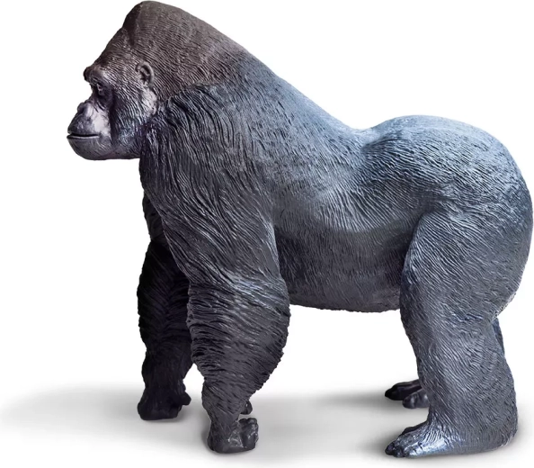 Stabilný postoj na hranie aj vystavenie