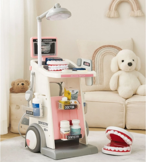 Model čeľuste a bohaté príslušenstvo