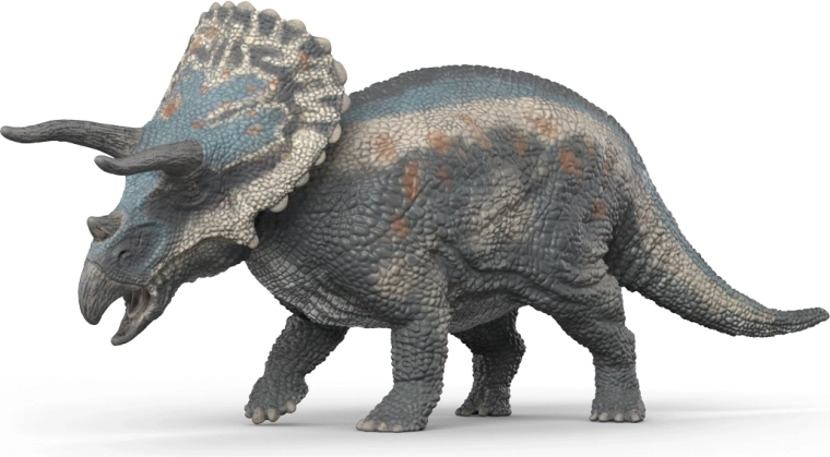 Skvelé detaily na učenie aj vystavenie