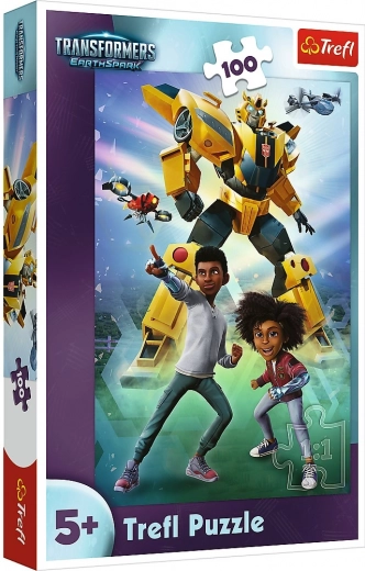 Puzzle Transformers 100 dielikov