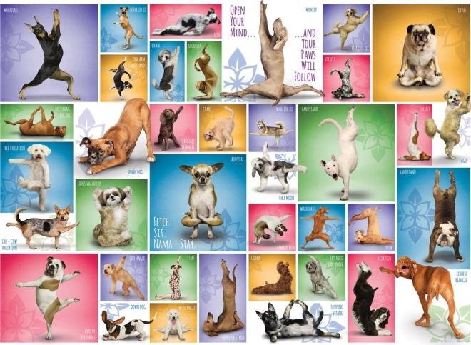 Puzzle EUROGRAPHICS Psia joga 1000 dielikov