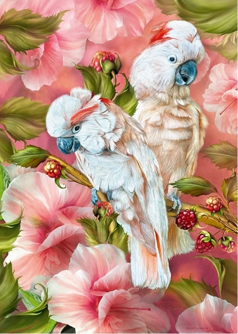 CHERRY PAZZI puzzle kakadu – duchovia trópov, 1000 dielikov