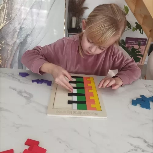 Rozvoj logiky a sústredenia