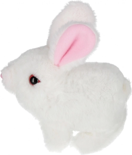 Výber z troch farieb