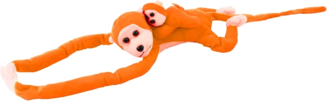 Opička s mláďaťom