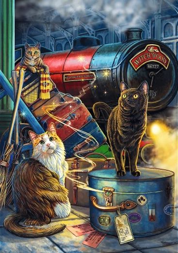 Puzzle TREFL Premium Plus Magic Collection: Witchwood Express 1000 dielikov