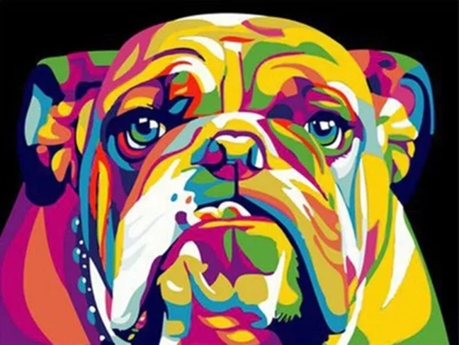 NORIMPEX Maľovanie podľa čísel Farebný buldog 40 × 50 cm