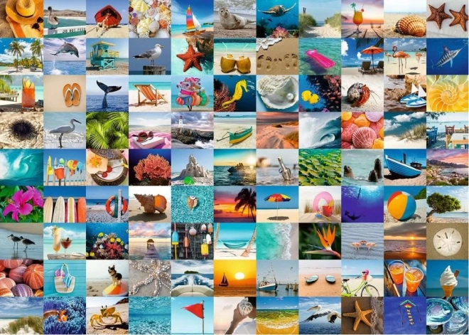 Puzzle RAVENSBURGER 99 okamihov pri mori 1000 dielikov