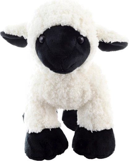 Ideálna veľkosť na mojkanie