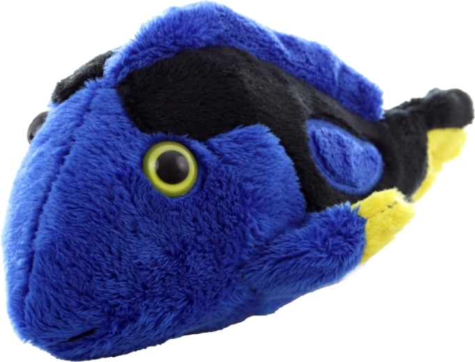 Žiarivé farby, ktoré zaujmú